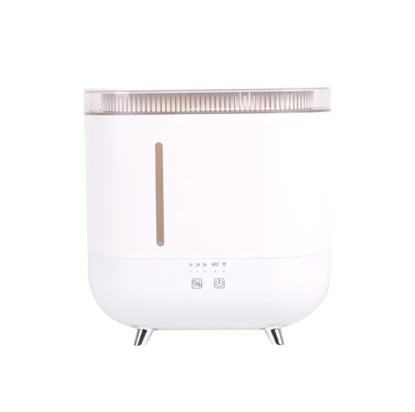 平盖-大图 Model No.: ASR-TP01